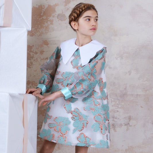 Long Sleeved Shift Dress