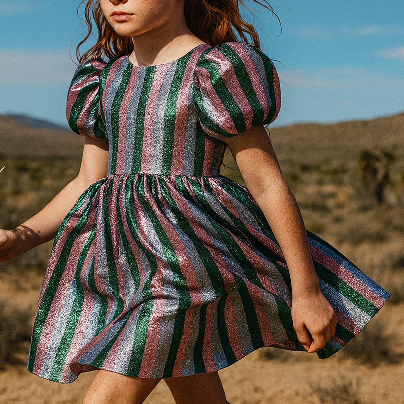 Puff Sleeve Bodice Dress