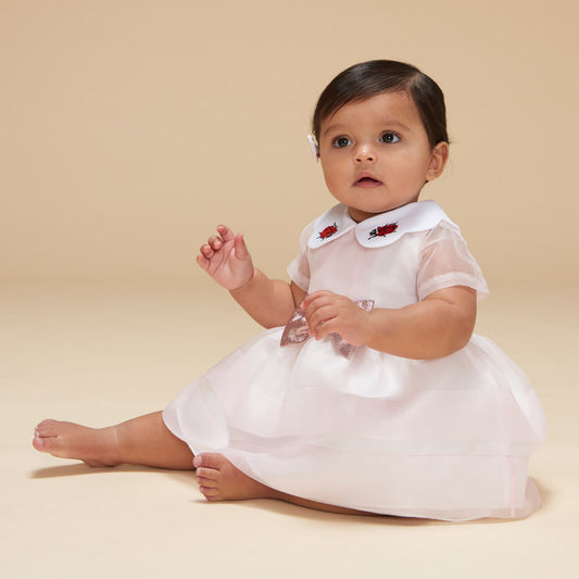 Baby's Embroidered Collar Bodice Dress & Bloomers