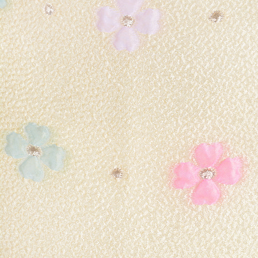 Puff Sleeve Bodice Dress & Bloomers