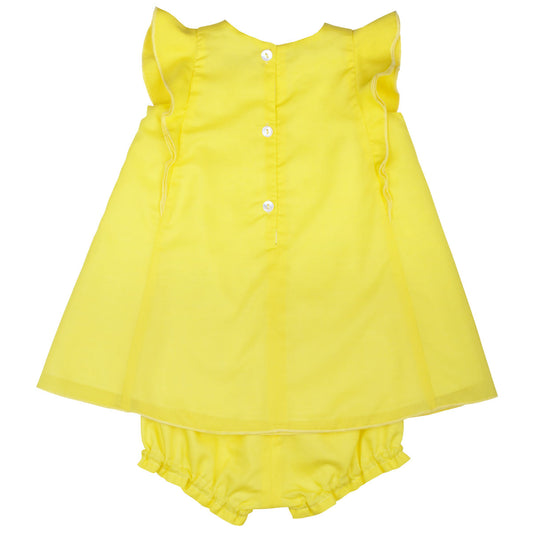 Baby's Flutter Sleeve Swing Dress & Bloomer Set