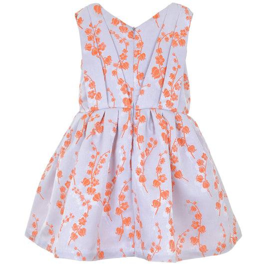 Girl's Pleated Bodice Dress in Powder Blue and Persimmon