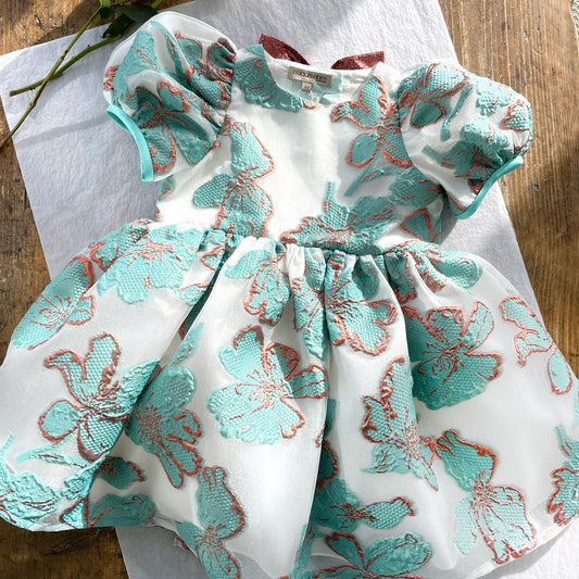 Puff Sleeve Bodice Dress