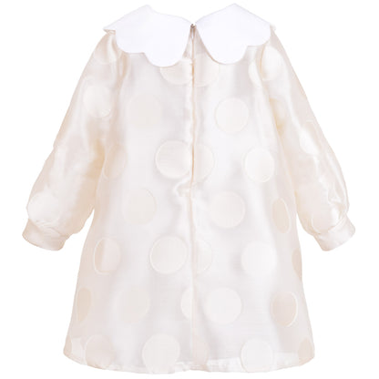 Long Sleeved Shift Dress