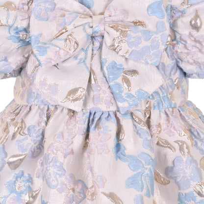 Baby's Puff Sleeve Bodice Dress & Bloomers