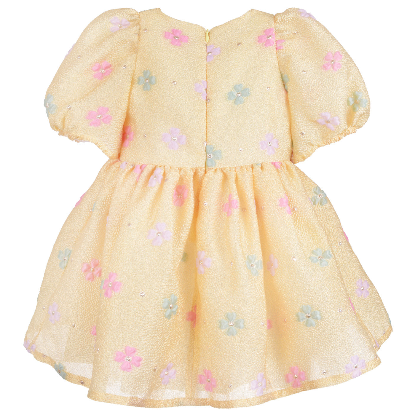 Puff Sleeve Bodice Dress
