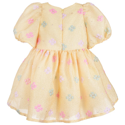 Puff Sleeve Bodice Dress