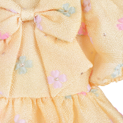 Puff Sleeve Bodice Dress
