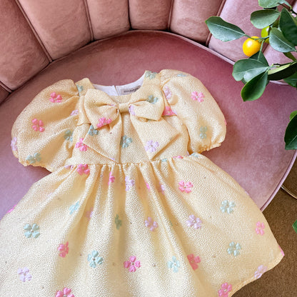 Puff Sleeve Bodice Dress