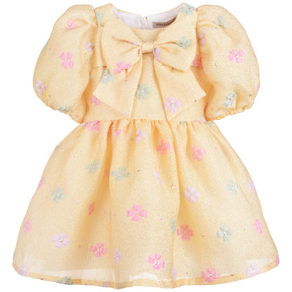 Puff Sleeve Bodice Dress