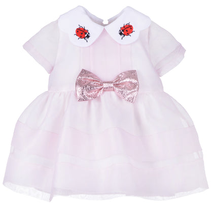Baby's Embroidered Collar Bodice Dress & Bloomers
