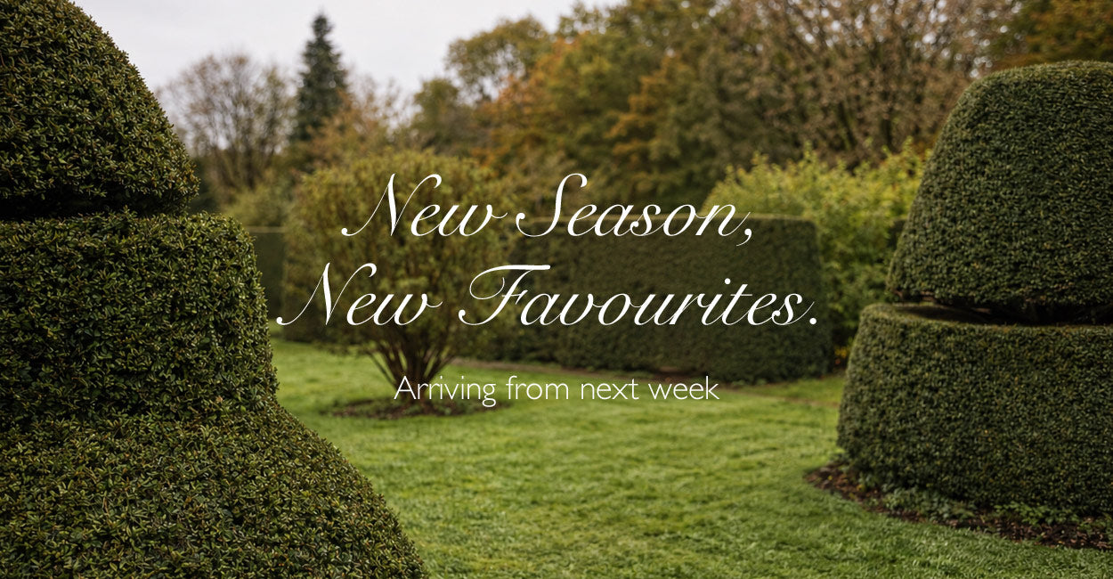 Hucklebones Autumn / Winter 26, online from next week